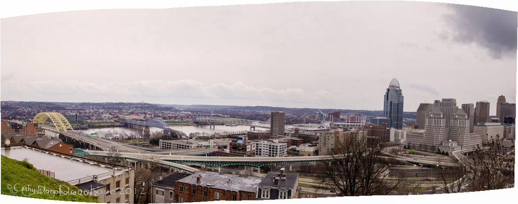 Cincinnati Panorama  by cdonohoue