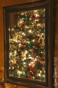 17th Dec 2012 - Christmas Reflections