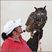European Eagle Owl 2 by carolmw