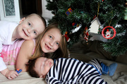16th Dec 2012 - Under the tree!