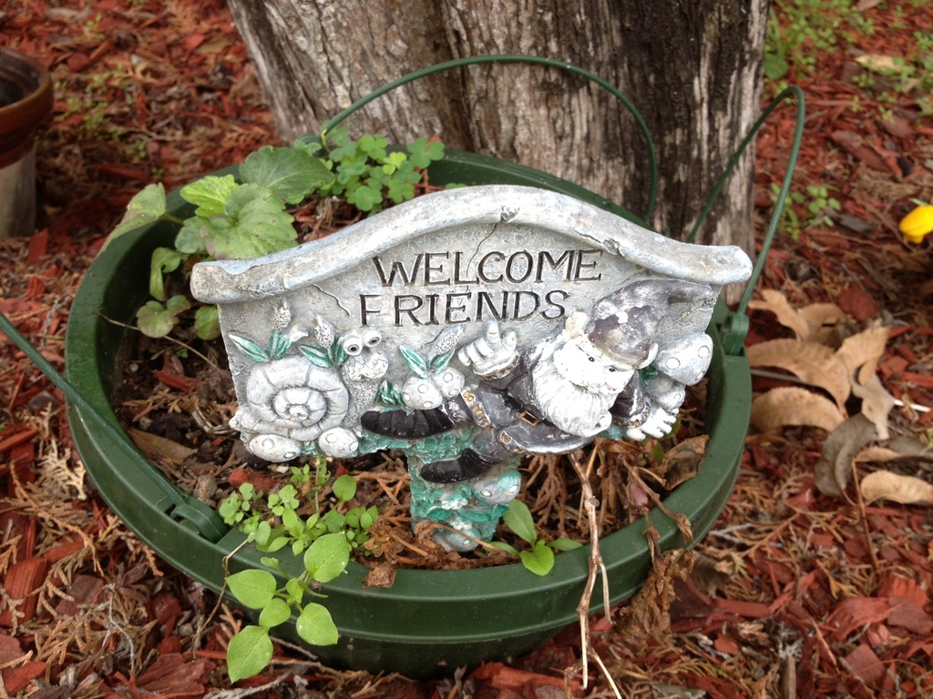A friendly garden, Wraggborough neighborhood, Charleston, SC by congaree