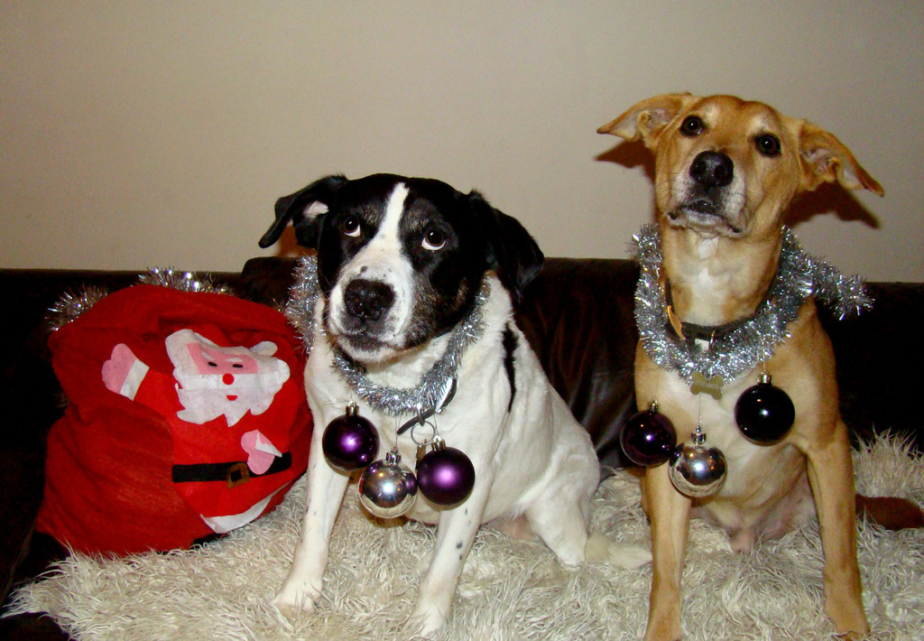 Dec 17: Tinsel & Baubles by bulldog