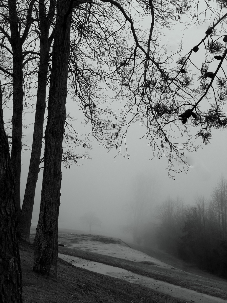 The Mist Below by calm