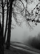 12th Dec 2012 - The Mist Below