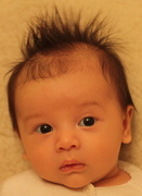 30th Nov 2012 - Spiky hair