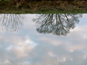 8th Dec 2012 - Morning Reflections
