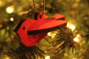 17th Dec 2012 - Red bird