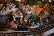 19th Dec 2012 - Christmas Village