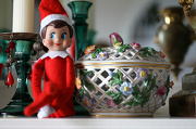 17th Dec 2012 - Elf on the Shelf