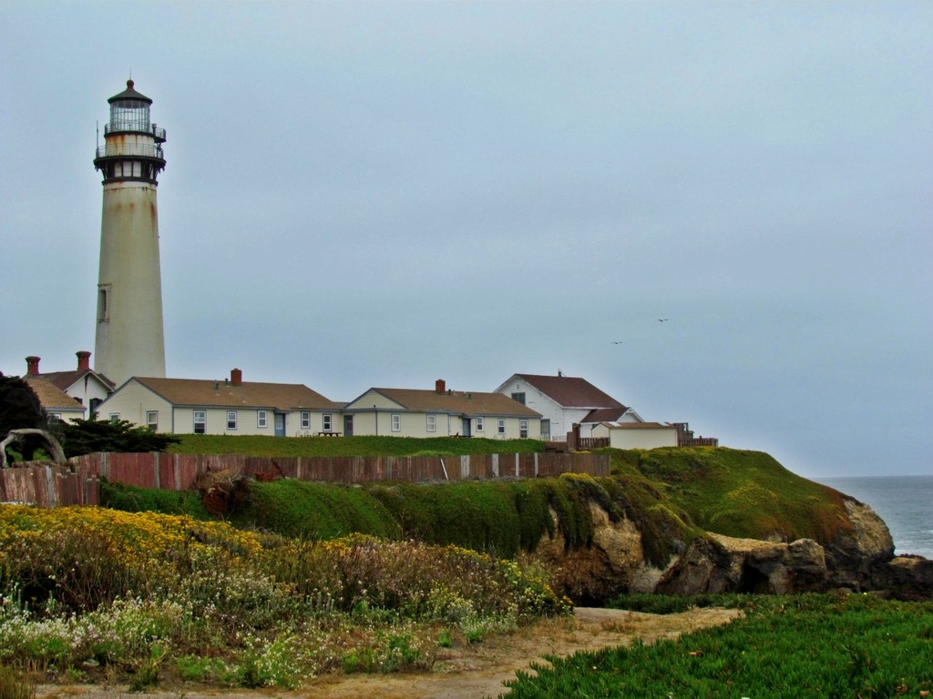 Pigeon Point Lighthouse by juletee