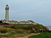 20th Jul 2012 - Pigeon Point Lighthouse