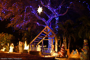 18th Dec 2012 - Nativity
