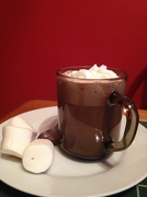 23rd Nov 2012 - Hot Chocolate