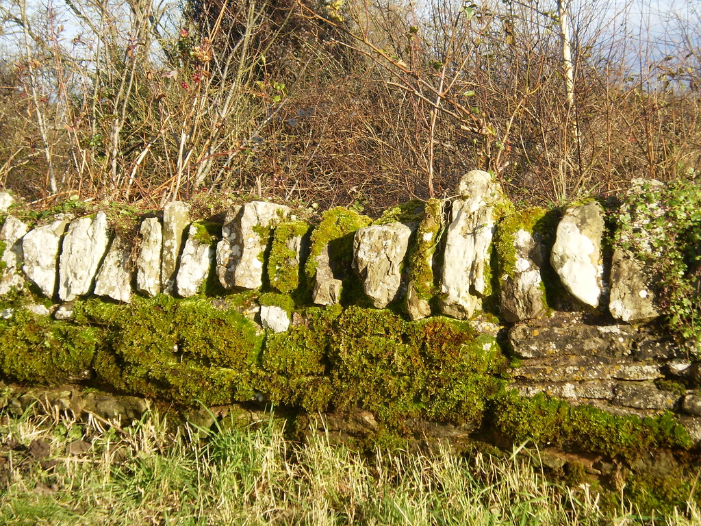 A dry stone wall. by snowy
