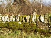 18th Dec 2012 - A dry stone wall.