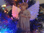 17th Dec 2012 - Angel number two
