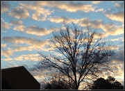 19th Dec 2012 - Morning Clouds
