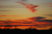 18th Dec 2012 - Kansas Sunset