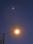 16th Dec 2012 - moonlight