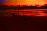 19th Dec 2012 - Redscale outrigger