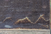 19th Dec 2012 - Japanese Rust Painting