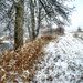 Let it snow - Please view large if you like Snow  by myhrhelper