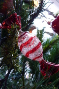 19th Dec 2012 - Ornament