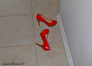 19th Dec 2012 - Red Shoes