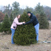 340 The annual hugging of the tree.  by pennyrae