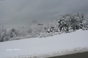 8th Dec 2012 - 343 heavy snow
