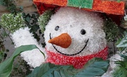14th Nov 2012 - Snowman Surprise