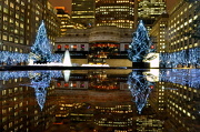 19th Dec 2012 - Light Reflections