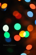 19th Dec 2012 - lights...