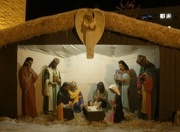 19th Dec 2012 - City Hall Nativity Scene
