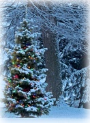 4th Dec 2012 - First Snow
