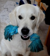 20th Dec 2012 - Play with me