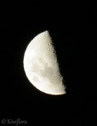 21st Dec 2012 - Moon Shot