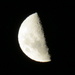 Moon Shot by kiwiflora