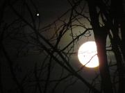 26th Nov 2012 - Moon 