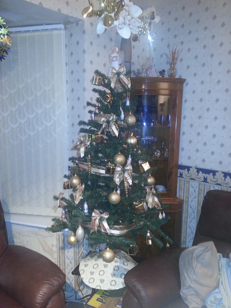 Our Tree by clairecrossley