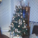 Our Tree by clairecrossley