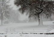 20th Dec 2012 - Snow