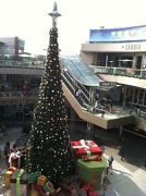 20th Dec 2012 - XMas Tree at 3rd Street