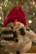 20th Dec 2012 - Happy Snowman