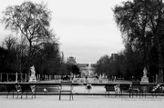 20th Dec 2012 - Jardin des Tuileries