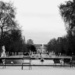 Jardin des Tuileries by parisouailleurs