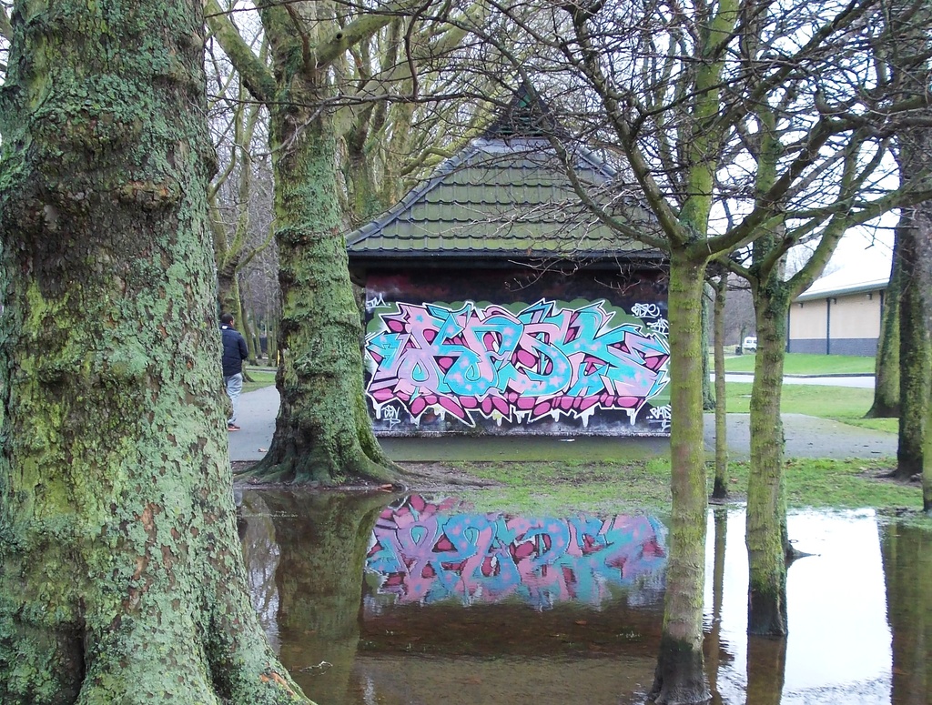 Graffiti reflection by richardcreese