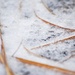 Hay, we got Snow!! by alophoto