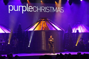 20th Dec 2012 - Purple Christmas