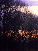 21st Dec 2012 - Morning sky.